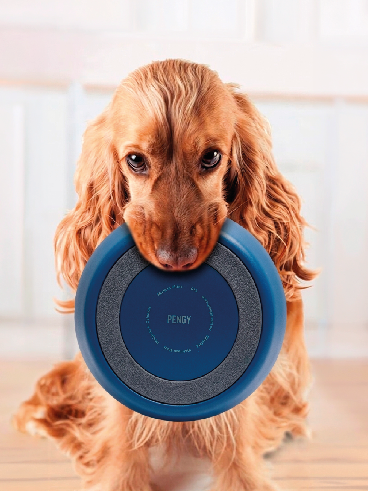 PENGY Pet Bowl - Plato De Comida Para Mascotas