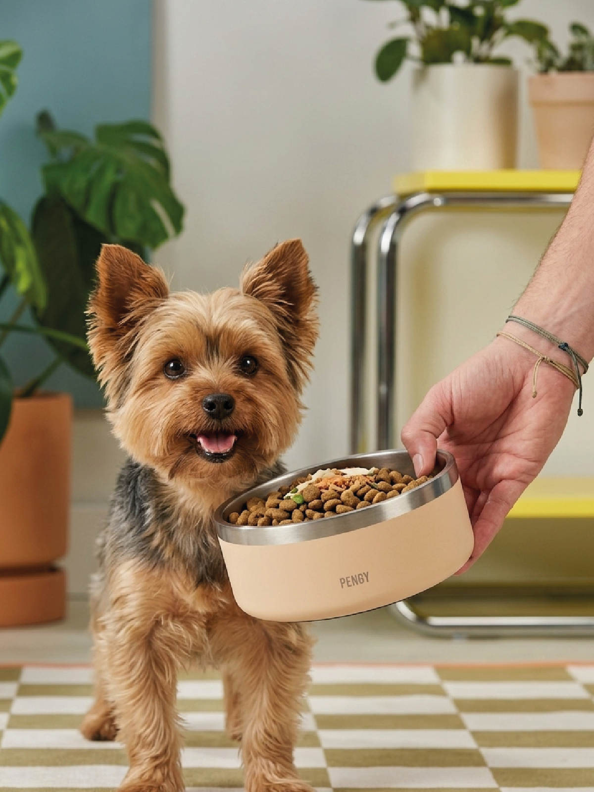 Image of PENGY Pet Bowl - Plato De Comida Para Mascotas