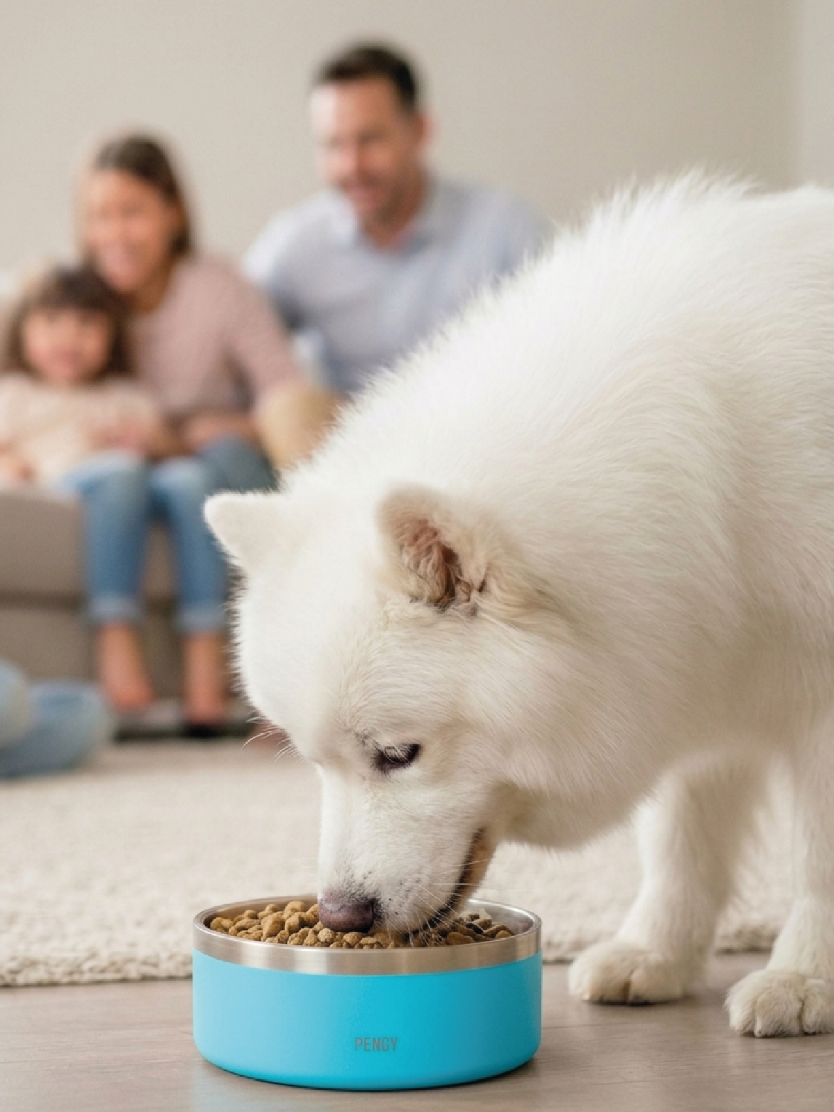 Image of PENGY Pet Bowl - Plato De Comida Para Mascotas
