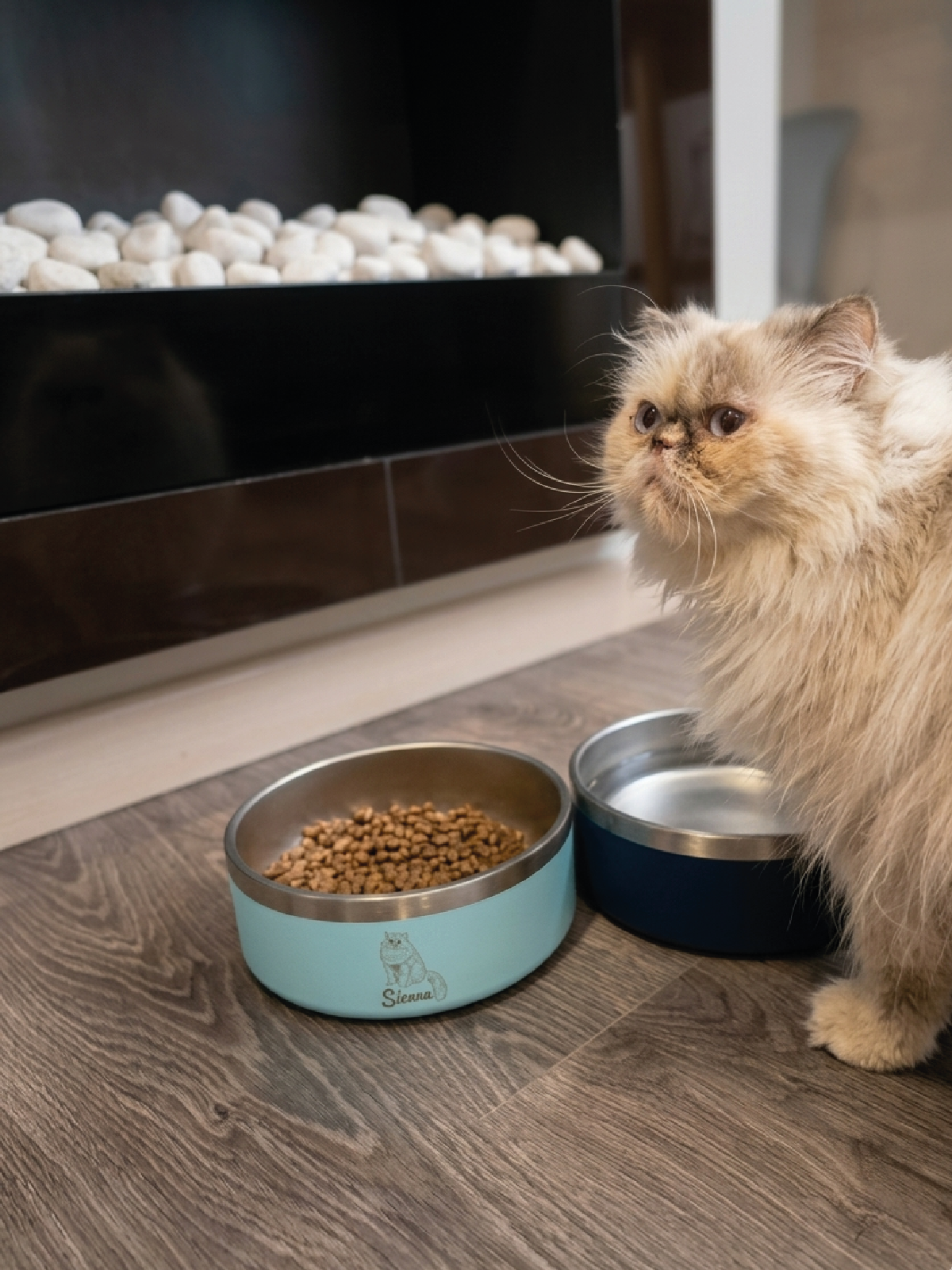 Image of PENGY Pet Bowl - Plato De Comida Para Mascotas